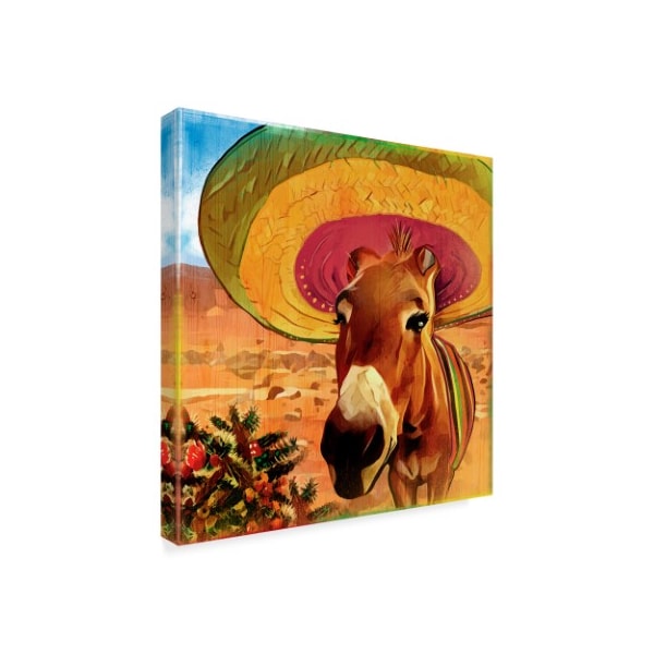 ALI Chris 'Fiesta Mule' Canvas Art,14x14